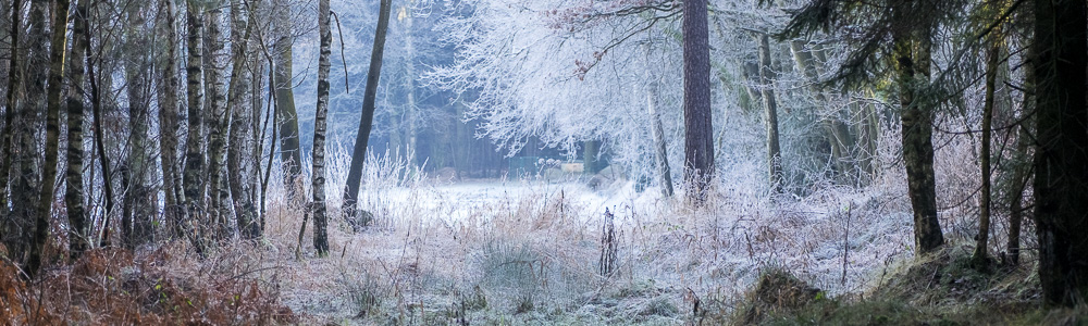 Karswald im Winter Karswald im Winter